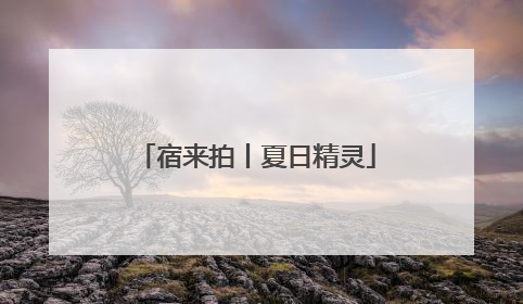宿来拍丨夏日精灵