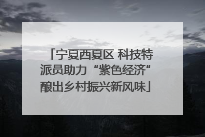 宁夏西夏区 科技特派员助力“紫色经济”酿出乡村振兴新风味