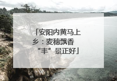安阳内黄马上乡：麦穗飘香 “丰”景正好