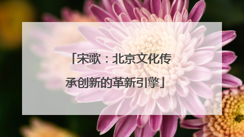 宋歌：北京文化传承创新的革新引擎