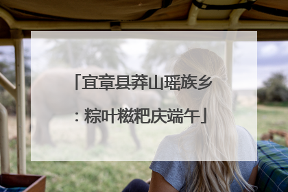 宜章县莽山瑶族乡：粽叶糍粑庆端午