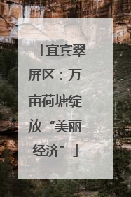 宜宾翠屏区：万亩荷塘绽放“美丽经济”