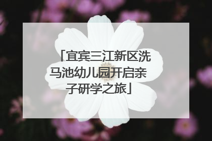 宜宾三江新区洗马池幼儿园开启亲子研学之旅