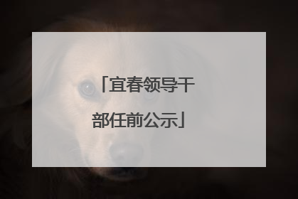 宜春领导干部任前公示