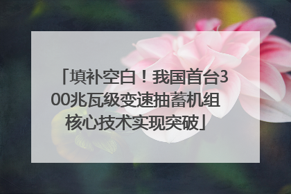 填补空白！我国首台300兆瓦级变速抽蓄机组核心技术实现突破