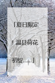 夏日限定！温县荷花初绽……