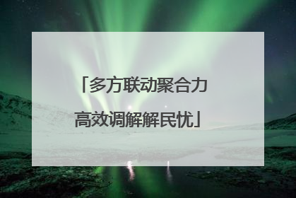 多方联动聚合力 高效调解解民忧
