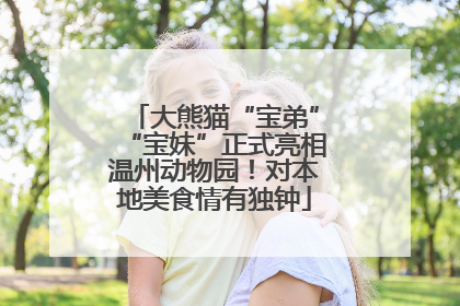 大熊猫“宝弟”“宝妹”正式亮相温州动物园！对本地美食情有独钟