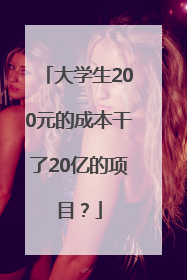 大学生200元的成本干了20亿的项目？