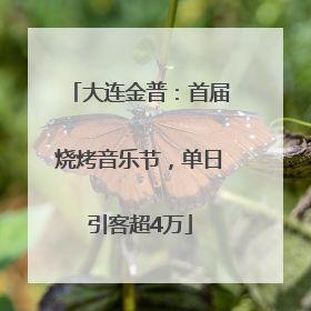 大连金普：首届烧烤音乐节，单日引客超4万