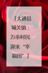 大通县城关镇：万余村民迎来“幸福田”