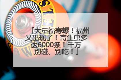 大量福寿螺！福州又出现了！寄生虫多达6000条！千万别碰、别吃！