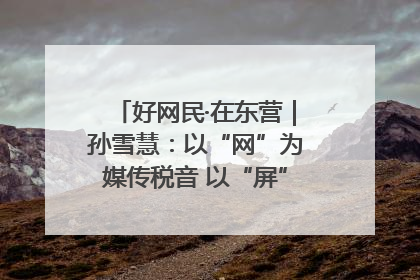 好网民·在东营｜孙雪慧：以“网”为媒传税音 以“屏”为介助发展