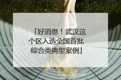 好消息！武汉这个区入选全国首批综合类典型案例
