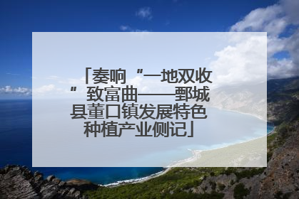 奏响“一地双收”致富曲——鄄城县董口镇发展特色种植产业侧记
