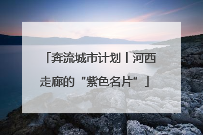 奔流城市计划丨河西走廊的“紫色名片”