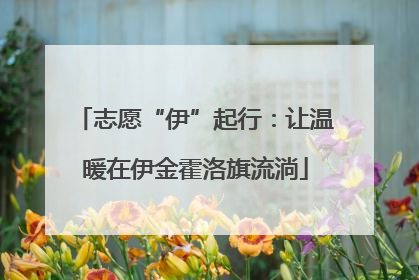 志愿“伊”起行：让温暖在伊金霍洛旗流淌