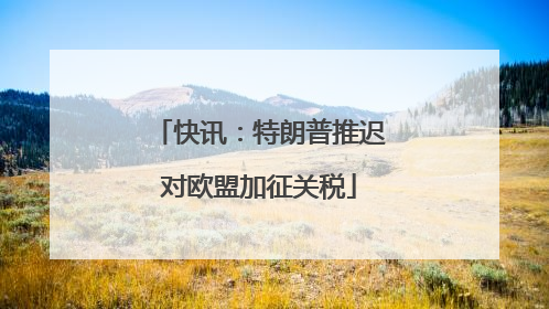 快讯：特朗普推迟对欧盟加征关税