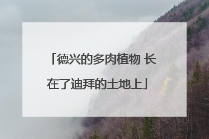 德兴的多肉植物 长在了迪拜的土地上