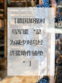 德国加强对乌军援 “是为减少对乌经济援助作铺垫”