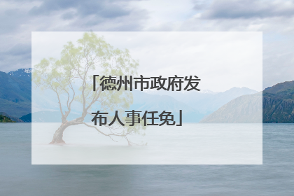 德州市政府发布人事任免