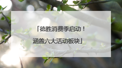 德胜消费季启动！涵盖六大活动板块