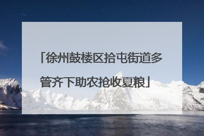 徐州鼓楼区拾屯街道多管齐下助农抢收夏粮