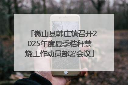 微山县韩庄镇召开2025年度夏季秸秆禁烧工作动员部署会议