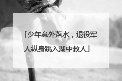 少年意外落水，退役军人纵身跳入湖中救人