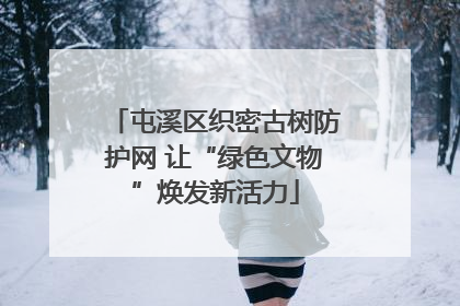 屯溪区织密古树防护网 让“绿色文物”焕发新活力