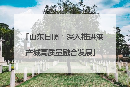 山东日照：深入推进港产城高质量融合发展