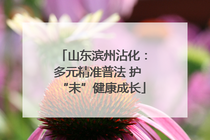 山东滨州沾化：多元精准普法 护“未”健康成长