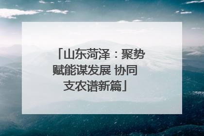 山东菏泽：聚势赋能谋发展 协同支农谱新篇
