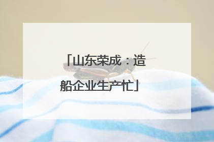 山东荣成：造船企业生产忙