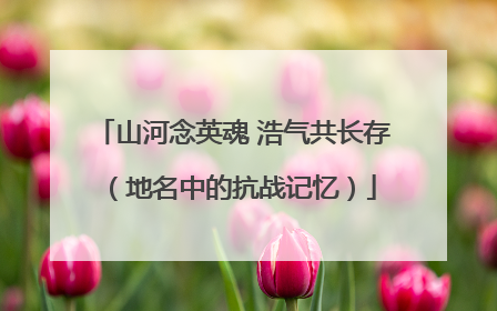 山河念英魂 浩气共长存（地名中的抗战记忆）