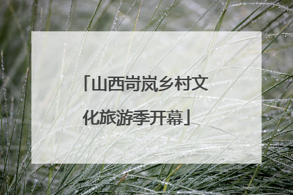 山西岢岚乡村文化旅游季开幕