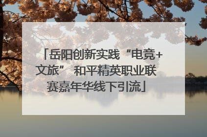 岳阳创新实践“电竞+文旅” 和平精英职业联赛嘉年华线下引流