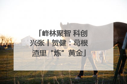 峰林聚智 科创兴张丨贺健：葛根渣里“炼”黄金