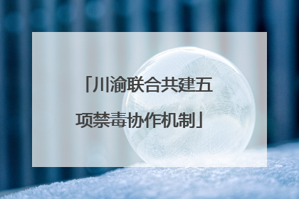 川渝联合共建五项禁毒协作机制
