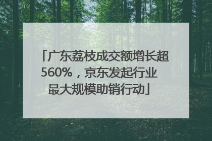 广东荔枝成交额增长超560%，京东发起行业最大规模助销行动