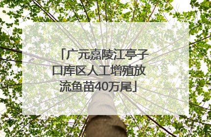 广元嘉陵江亭子口库区人工增殖放流鱼苗40万尾