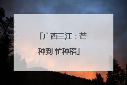 广西三江：芒种到 忙种稻