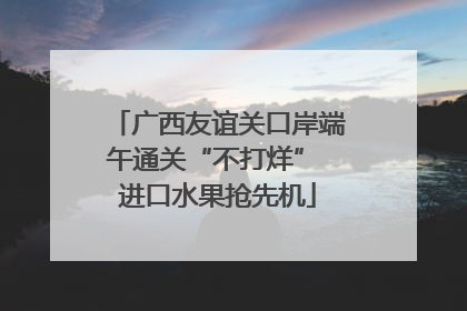 广西友谊关口岸端午通关“不打烊” 进口水果抢先机