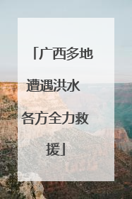 广西多地遭遇洪水 各方全力救援