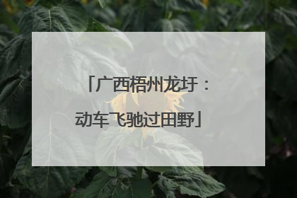 广西梧州龙圩：动车飞驰过田野
