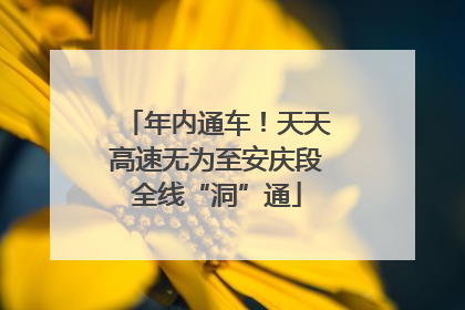 年内通车！天天高速无为至安庆段全线“洞”通