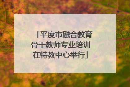 平度市融合教育骨干教师专业培训在特教中心举行