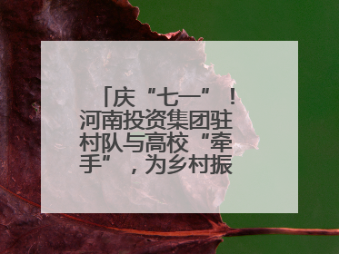 庆“七一”！河南投资集团驻村队与高校“牵手”，为乡村振兴添新活力