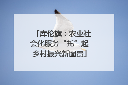 库伦旗：农业社会化服务“托”起乡村振兴新图景