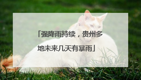 强降雨持续，贵州多地未来几天有暴雨